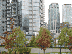 Realty1 International Property Group Realty1 International Property Group