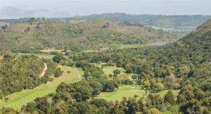Plettenberg Bay: 422 hectares of prime development land available