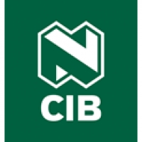 Nedbank CIB