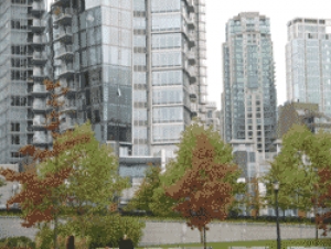 Realty1 International Property Group