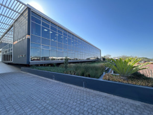 Medtronic Africa's offices in uMhlanga
